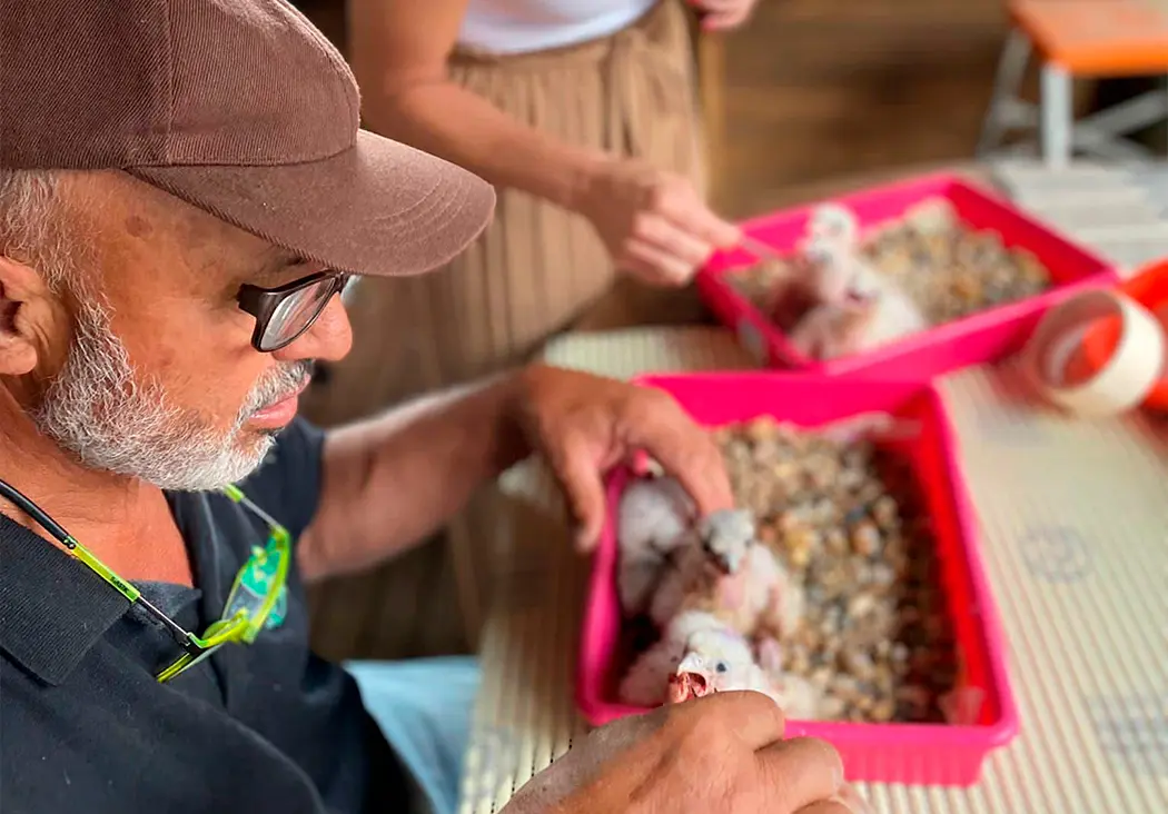 BAS Halcones BAS Halcones