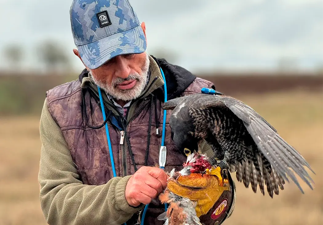 BAS Halcones BAS Halcones